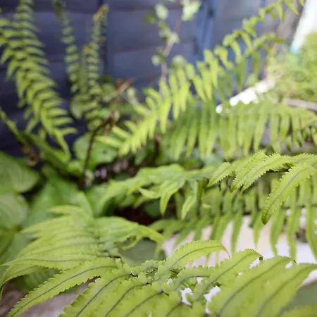 Peaceful Garden Apartment On Roman Road London Exterior photo